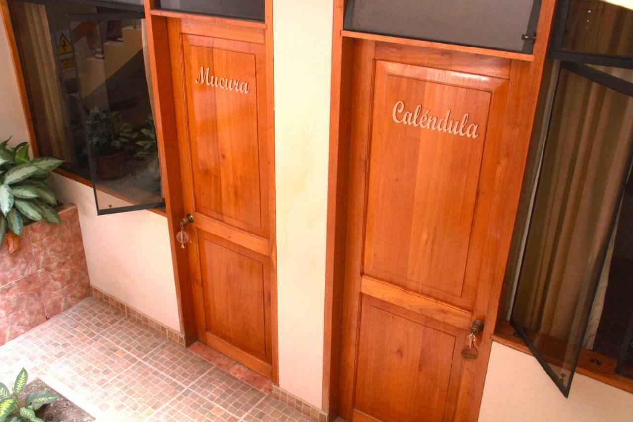 Zygo Bed & Breakfast Tarapoto Esterno foto